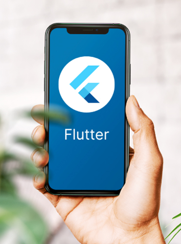 Flutter App Development